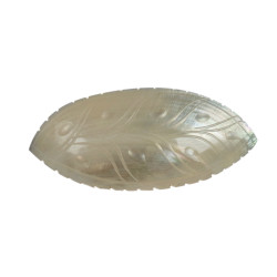 Premium Quality Snakh Hairclip Natural Mother Of Pearl Hair clip - CL14006
