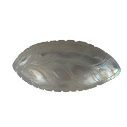 Premium Quality Snakh Hairclip Natural Mother Of Pearl Hair clip - CL14007