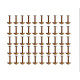 Novelika Nose Pins Studs Diamond Nose Pins For Women And Girl Set Of 50 - NS12016