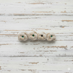 Novelika Back clips hair clips for women accessories for hair, hair clutches for women, hair clips for girls stylish women hair accessories for women stylish clips - CL14003