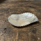 Premium Quality Snakh Hairclip Natural Mother Of Pearl Hair clip CL14009