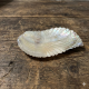 Premium Quality Snakh Hairclip Natural Mother Of Pearl Hair clip CL14009