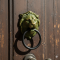 Novelika Beautiful  Lion Design Brass Door Knocker Home Improvement Door Hardware Door Knocker Home Decor ( 420079 )