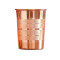 NOVELIKA-Pure Copper Tumbler, Handcrafted Ayurvedic Drinking Glass, 300ml Water Glass- Set Of 1