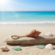 Novelika Handcrafted Natural Conch Shell Keychain with Gold-Tone Link Chain – Unique Beach-Inspired Accessory & Tropical Gift- Set of 1
