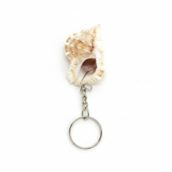 Novelika Sea Shell Keychain – Decorative Shell Key Ring | Beach Style Keychain Gift | Set of 1