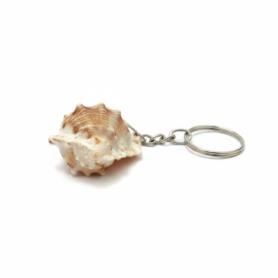 Novelika Sea Shell Keychain – Decorative Shell Key Ring | Beach Style Keychain Gift | Set of 1
