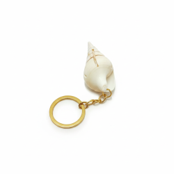 Novelika Natural Sea Shell Keychain with Metal Ring, Ocean-Style Key Ring, Decorative Shell Key Chain, Travel Souvenir Gift, Beach Theme Keychain | Set of 1