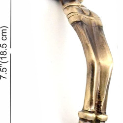 Novelika Brass Door Handle Horse Door Handle Pair Home Decor Home Improvement