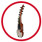  Sarod
