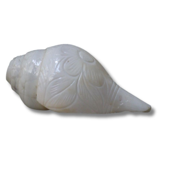 Novelika Blowing Shankh,Conch For Pooja - 7 Inch (Size Guarantee - Quality Matters) Quality assured by Om Gange Weight 400 gms to 500 gms +- 20 Gms (As this is Natural) set of 1