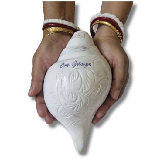 Novelika Blowing Shankh,Conch For Pooja - 7 Inch (Size Guarantee - Quality Matters) Quality assured by Om Gange Weight 400 gms to 500 gms +- 20 Gms (As this is Natural) set of 1