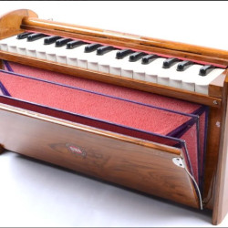 Novelika Harmonium BINA Dulcetina 2 1/2 Octaves Portable Harmonium Best Quality  ( PR10H019 ) 