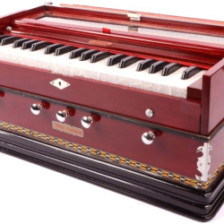 Novelika Professional Harmonium Bina Tarang Harmonium musical Harmonium ( PR756002 ) 