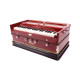 Novelika Professional Harmonium Bina Tarang Harmonium musical Harmonium ( PR756002 ) 