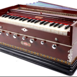 Novelika Professional Harmonium Bina NO. 11 Harmonium musical Harmonium Best Quality ( PR756006 ) 