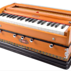 Novelika Professional Harmonium Bina NO. 10 Harmonium musical Harmonium Best Quality ( PR756005 ) 
