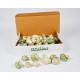 Novelika Natural Green Conch Sea Shell for Decoration Fish Aquarium Home Decoration Hanging Art and Craft -SH0010