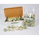 Novelika Natural Green Conch Sea Shell for Decoration Fish Aquarium Home Decoration Hanging Art and Craft -SH0010