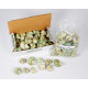 Novelika Natural Green Conch Sea Shell for Decoration Fish Aquarium Home Decoration Hanging Art and Craft -SH0010