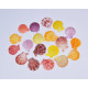 Novelika Natural Sea Shell for Decoration Fish Aquarium Home Decoration Hanging Art and Craft -SH0002