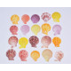 Novelika Natural Sea Shell for Decoration Fish Aquarium Home Decoration Hanging Art and Craft -SH0002