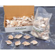 Novelika Natural Conch Sea Shell for Decoration Fish Aquarium Home Decoration Hanging Art and Craft -SH0007