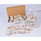 Novelika Natural Conch Sea Shell for Decoration Fish Aquarium Home Decoration Hanging Art and Craft -SH0011